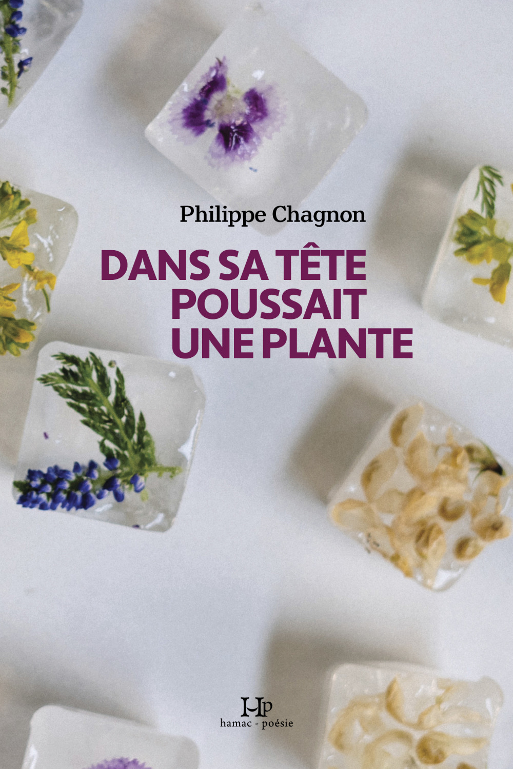ebook cover of Dans sa tête poussait une plante, by Philippe Chagnon