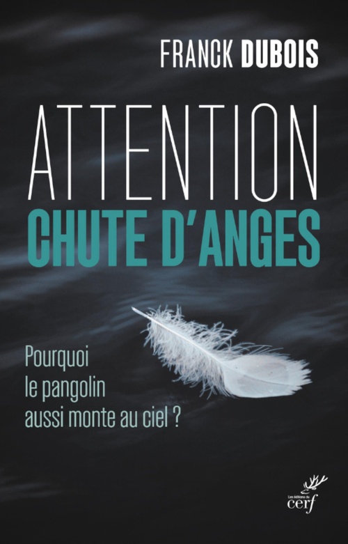 Couverture ebook de ATTENTION CHUTE D'ANGES - POURQUOI LE PANGOLIN AUSSI MONTE AU CIEL ?, de DUBOIS FRANCK
