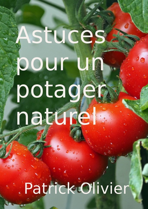 ebook cover of Astuces pour un Potager Naturel, by Patrick Olivier