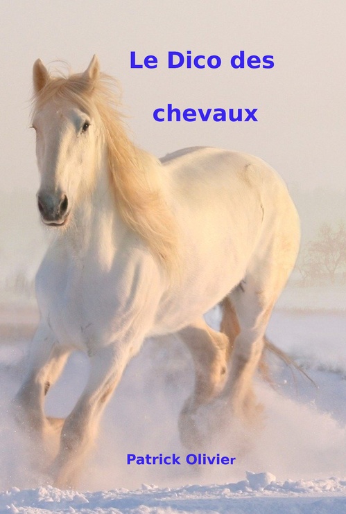ebook cover of Le Dico des Chevaux, by Patrick Olivier