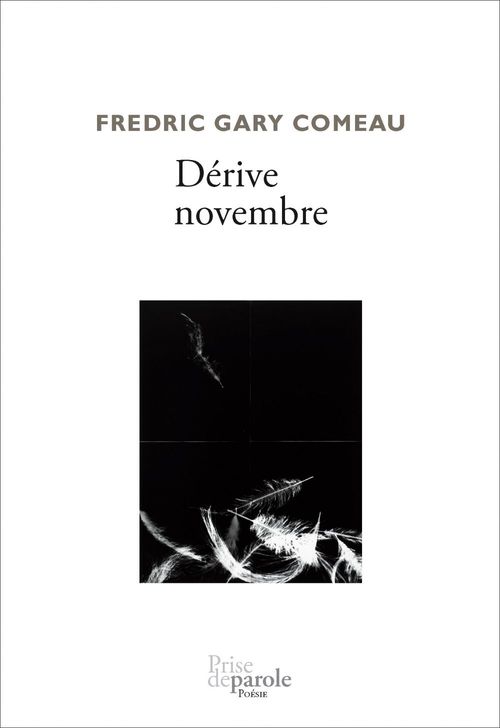 ebook cover of Dérive novembre, by Comeau Fredric Gary