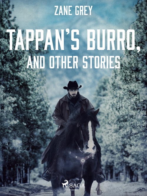 ebook cover of Tappan´s Burro, and Other Stories, by Zane Grey