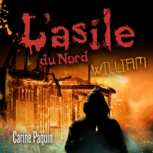 Couverture audiobook de L'asile du Nord - Tome 2, de Paquin Carine