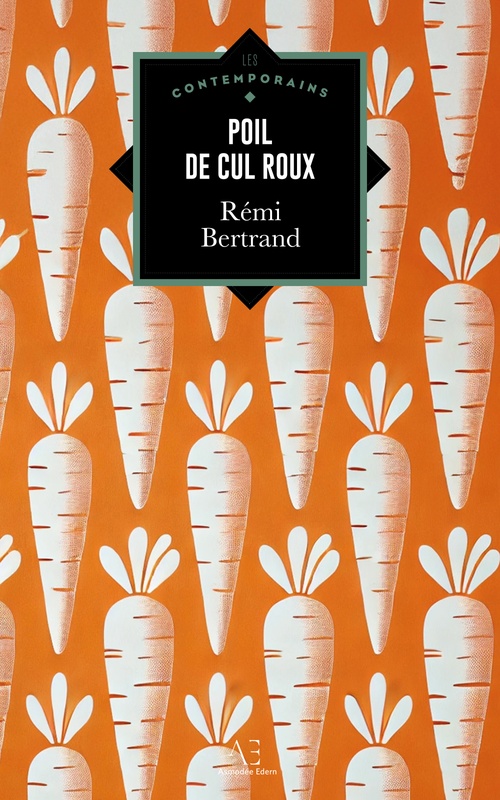 ebook cover of Poil de cul roux, by Rémi Bertrand