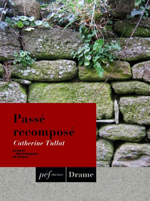 ebook cover of Passé recomposé, by Catherine Tullat