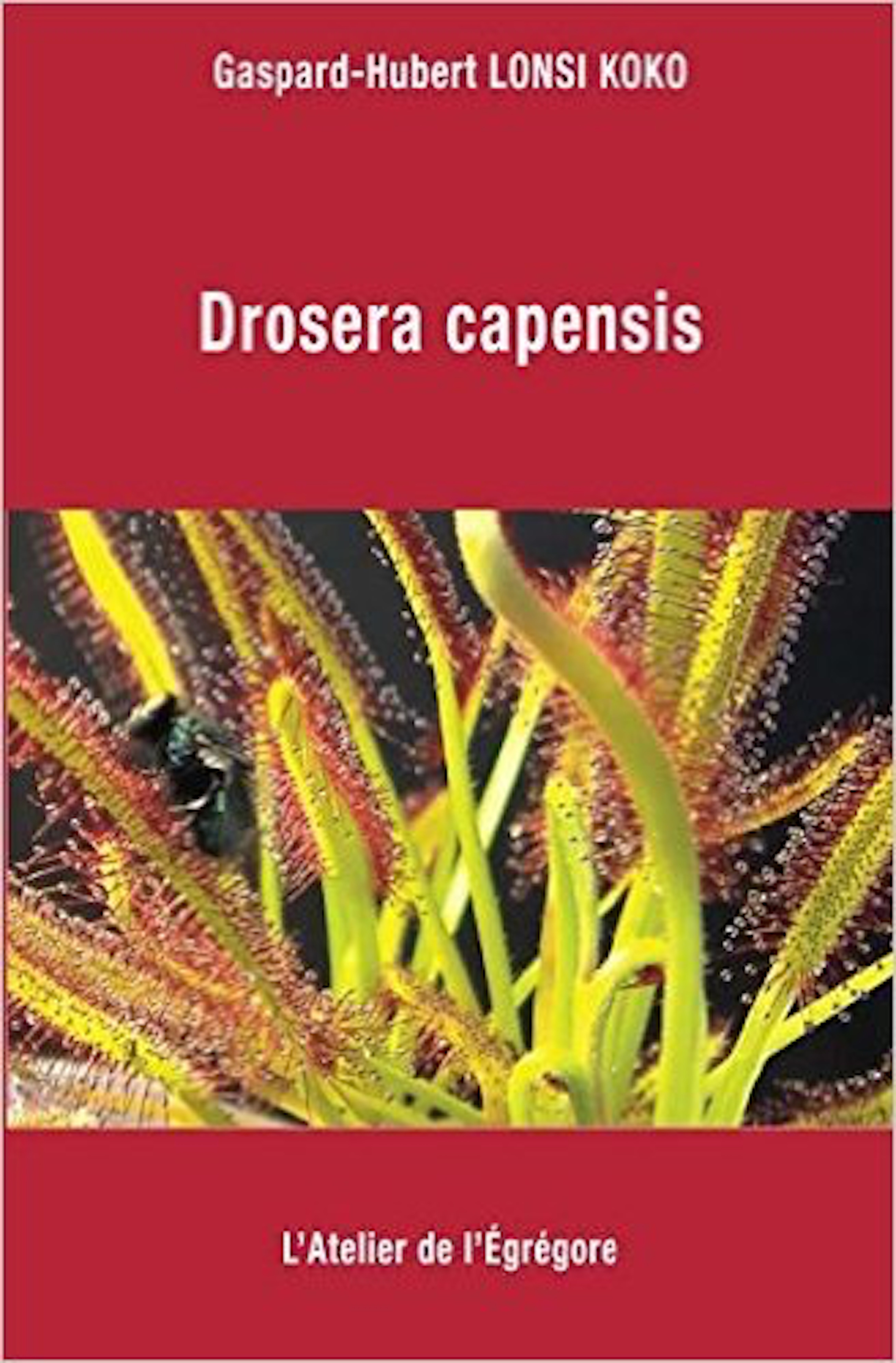 ebook cover of Drosera capensis, by Gaspard-Hubert Lonsi Koko