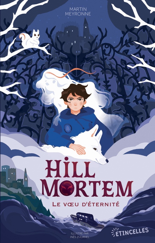 ebook cover of Hill Mortem, le Voeu d'éternité, by Martin Meyronne