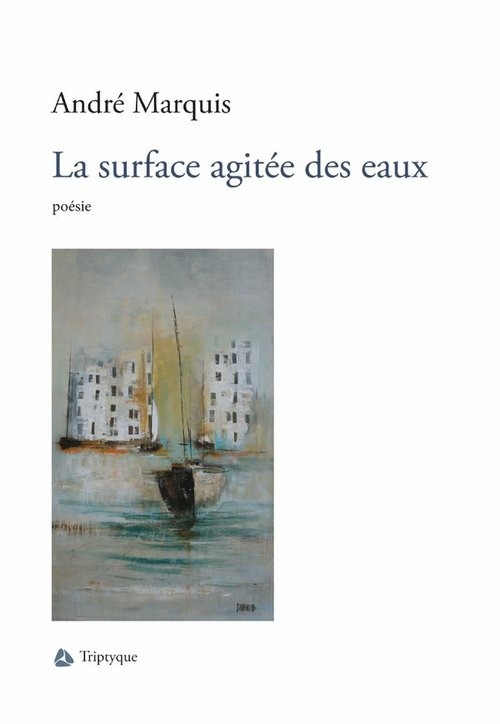 ebook cover of La surface agitée des eaux, by Marquis Andre