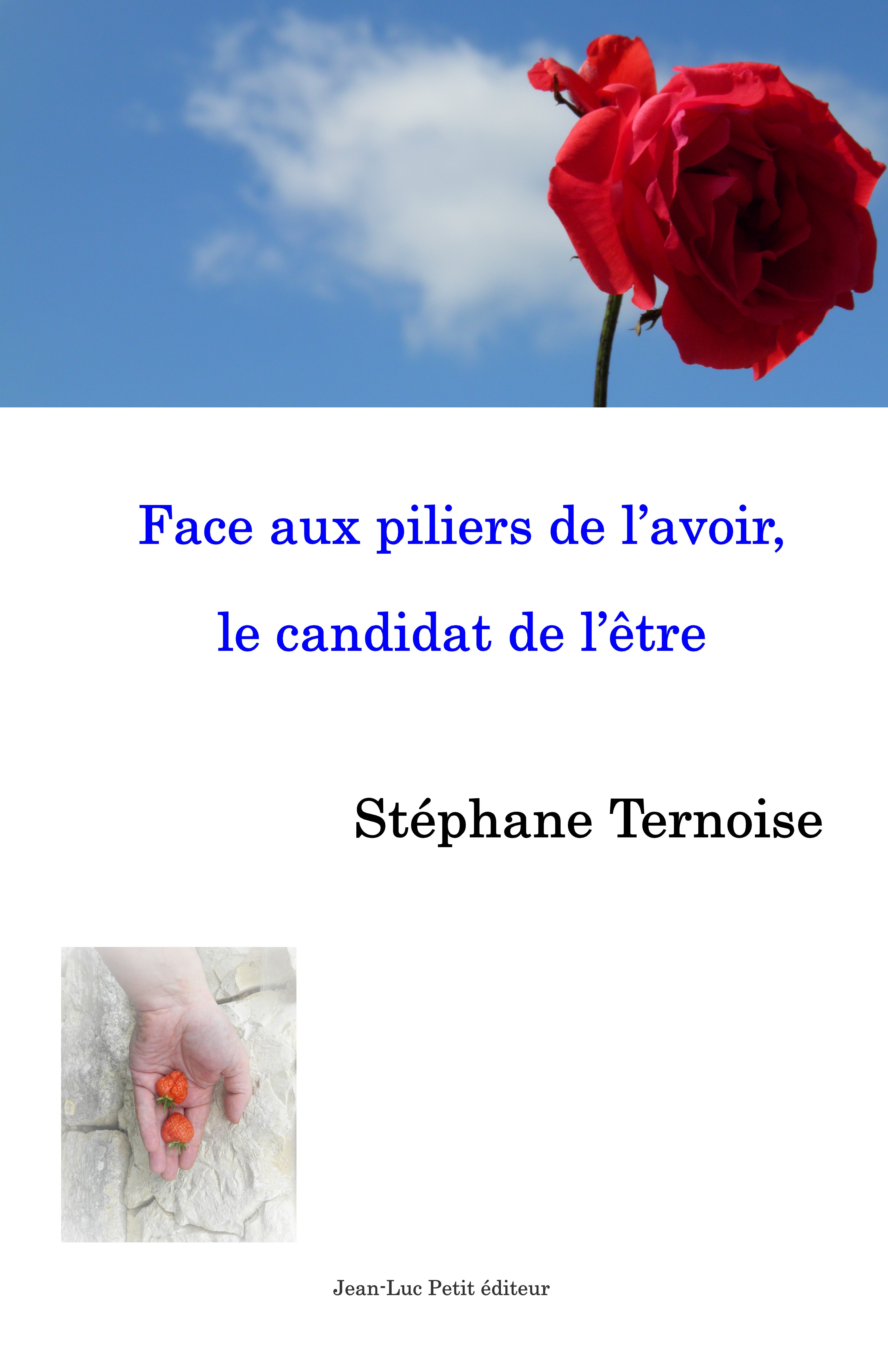 ebook cover of Face aux piliers de l´avoir, le candidat de l´être, by Stephane Ternoise