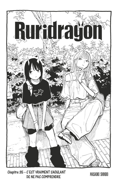 ebook cover of Ruridragon - Chapitre 35, by Masaoki Shindo