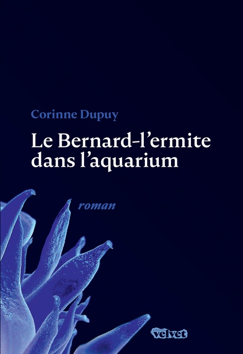 Couverture ebook de Le Bernard-l'ermite dans l'aquarium, de Corinne Dupuy