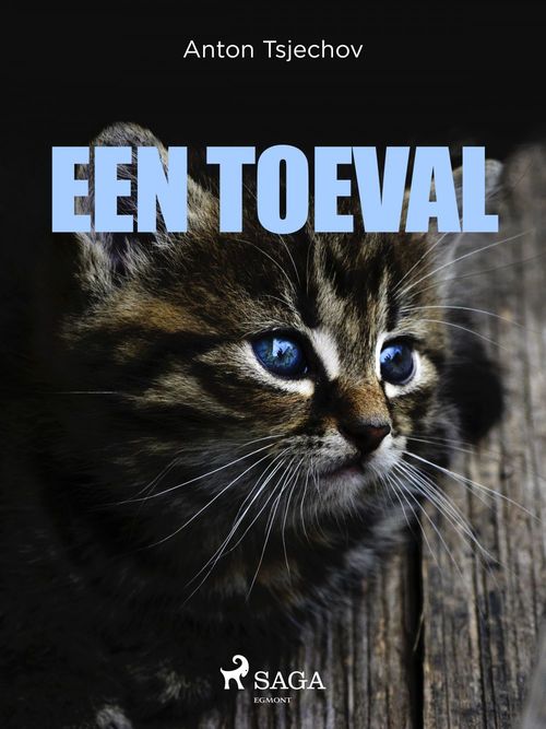 ebook cover of Een toeval, by Anton Tsjechov