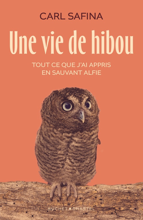 Couverture ebook de Une vie de hibou. Tout ce que j'ai appris en sauvant Alfie, de Carl Safina