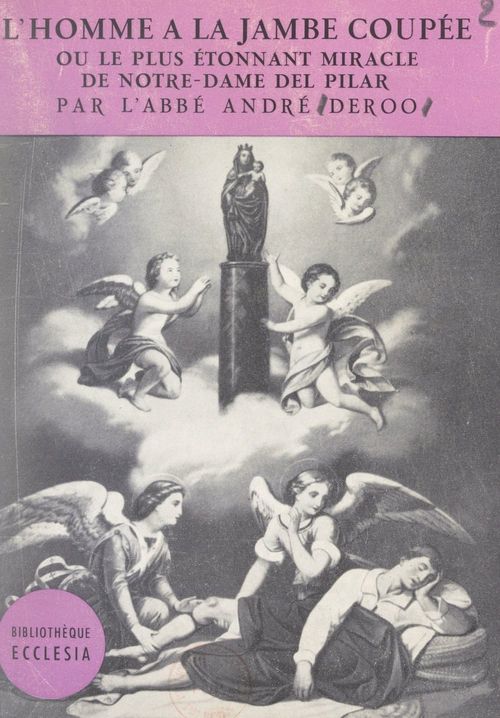 Couverture ebook de L'homme à la jambe coupée, de Andre Deroo