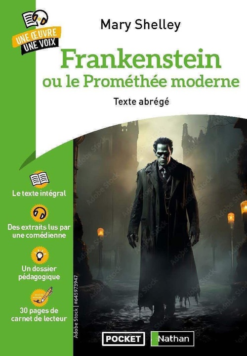 Couverture ebook de Frankenstein - Une oeuvre une voix, de Mary Shelley