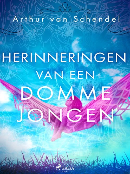 ebook cover of Herinneringen van een domme jongen, by Arthur  Van Schendel