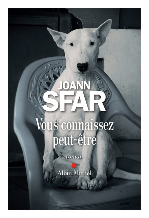 Couverture ebook de Vous connaissez peut-être, de Joann Sfar