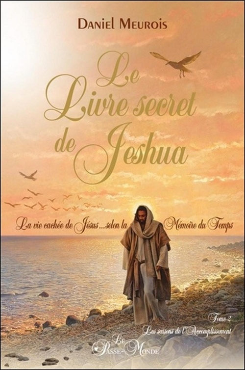 ebook cover of Le livre secret de Jeshua Tome 2 - La vie cachée de Jésus selon la Mémoire du Temps, by Daniel Meurois