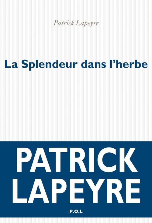 ebook cover of La Splendeur dans l'herbe, by Patrick Lapeyre