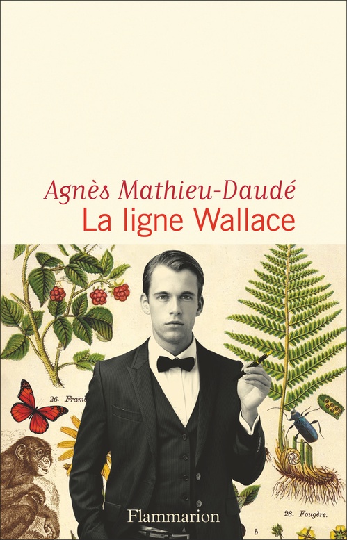 ebook cover of La ligne Wallace, by Agnès Mathieu-Daudé