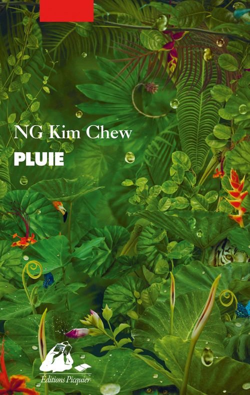 Couverture ebook de La Pluie, de Ng Chew KIM