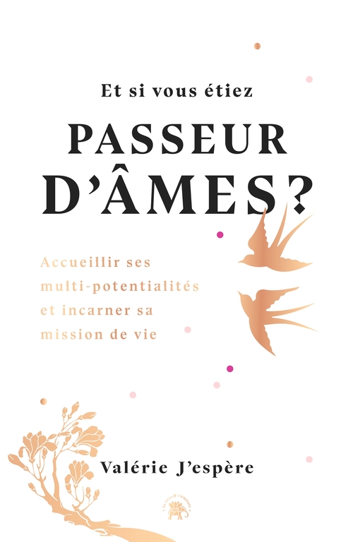 ebook cover of Et si vous étiez passeur d'âmes ?, by Valérie J'espère