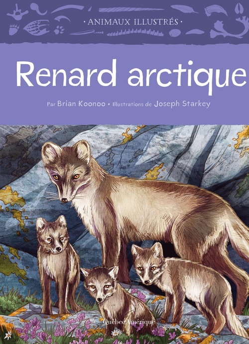 ebook cover of Renard arctique, by Brian Koonoo