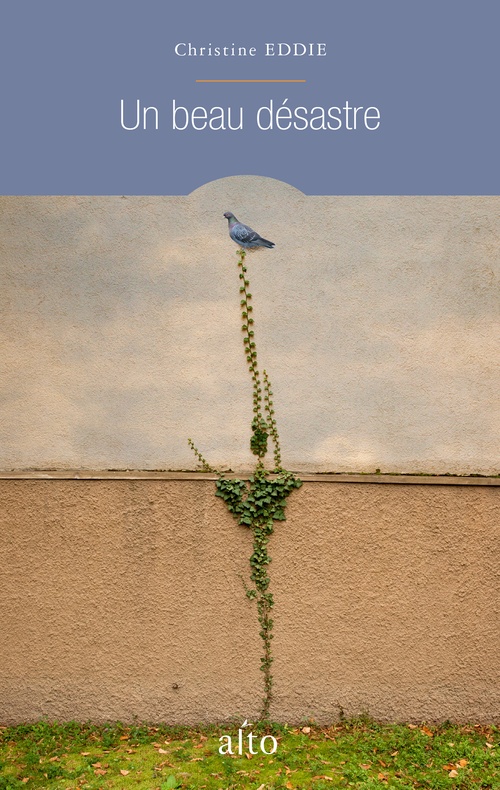 Couverture ebook de Un beau désastre, de Eddie Christine