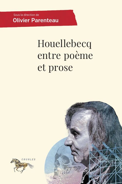 ebook cover of Houellebecq entre poème et prose, by Olivier Parenteau