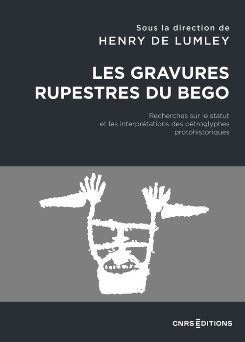 ebook cover of Les gravures rupestres du Bego - Recherches sur le statut et les interprétations des pétroglyphes pr, by