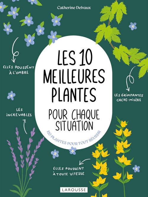 ebook cover of Les 10 meilleures plantes pour chaque situation, by Catherine Delvaux