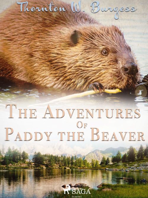 ebook cover of The Adventures of Paddy the Beaver, by Thornton W. Burgess