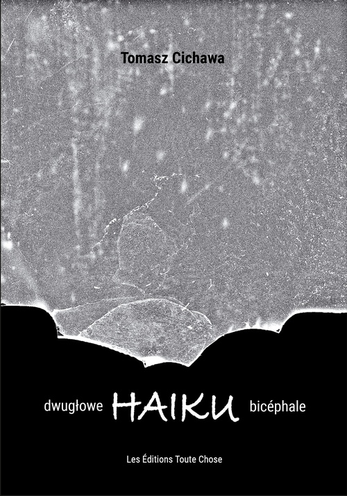 ebook cover of HAÏKU bicéphale o dwuglowe HAIKU, by Tomasz Cichawa