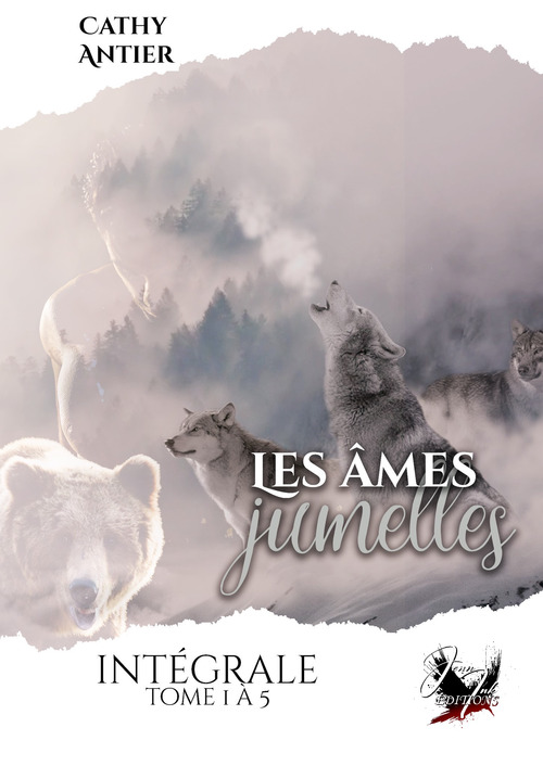Couverture ebook de Les Âmes Jumelles # L'intégrale, de Cathy Antier
