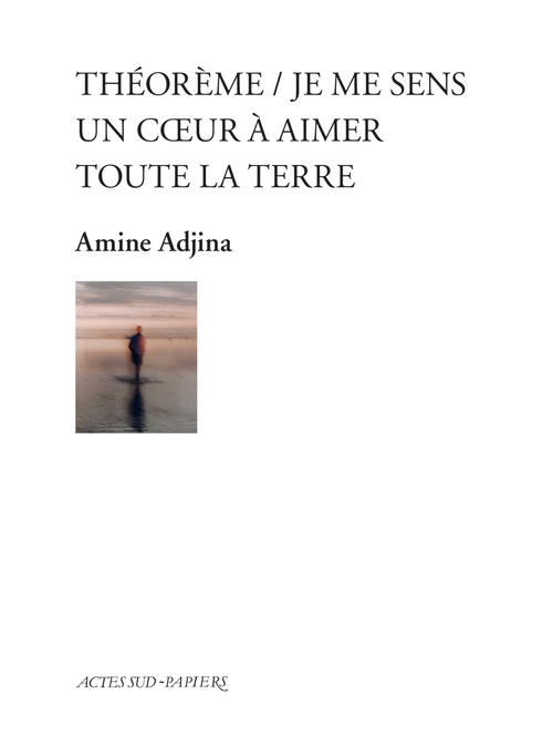 Couverture ebook de Théorème / Je me sens un coeur à aimer toute la terre, de Amine Adjina