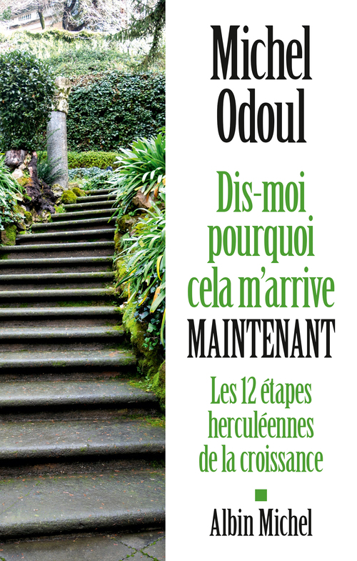 Couverture ebook de Dis-moi pourquoi cela m'arrive maintenant, de Michel Odoul