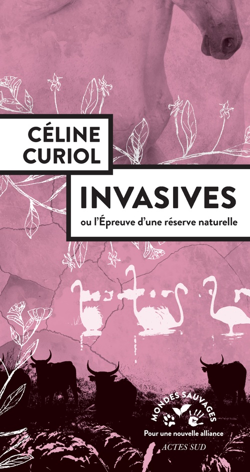 Couverture ebook de Invasives, de Céline Curiol