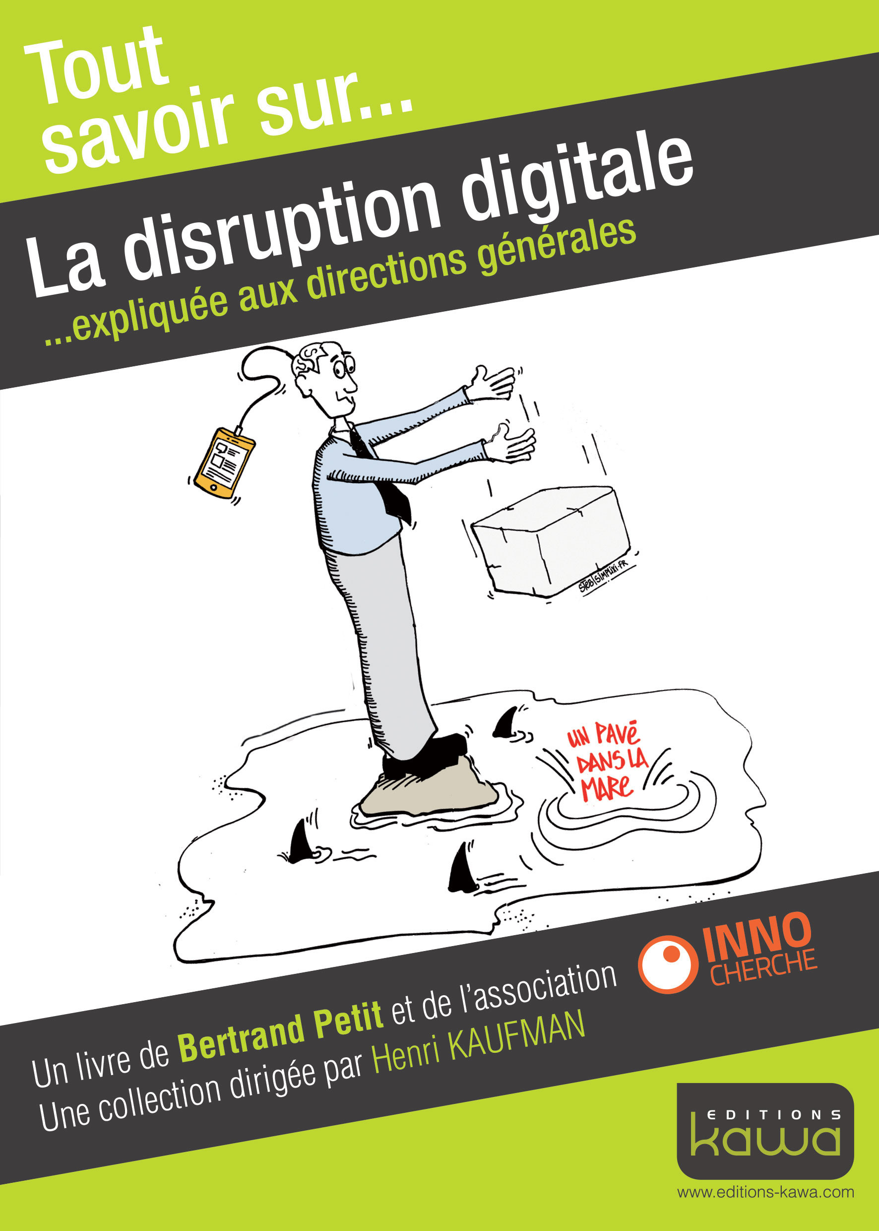 Couverture ebook de La disruption digitale - Expliquée aux directions générales, de Henri Kaufman, Bertrand Petit