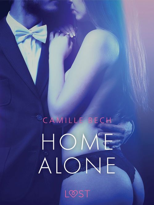 ebook cover of Home Alone - Erotic Short Story, by Camille Bech