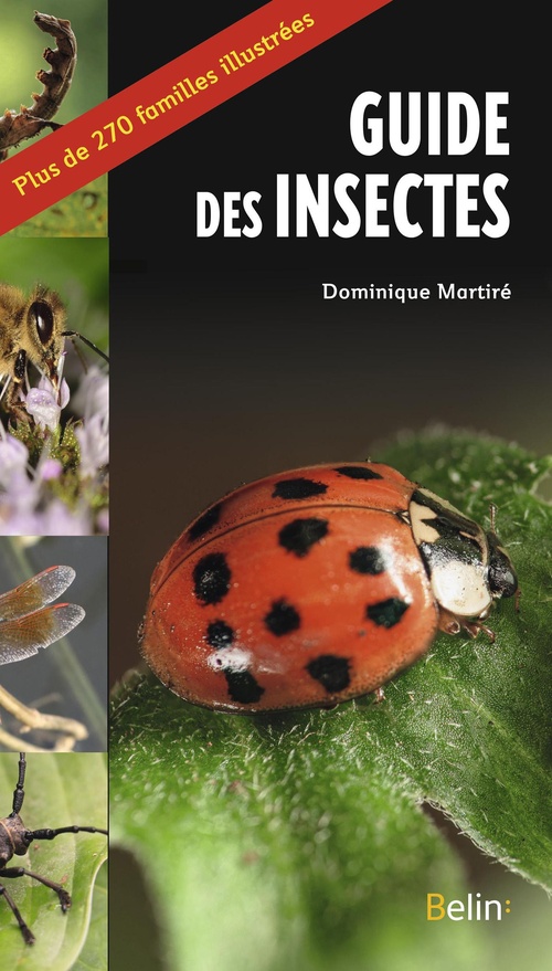 Couverture ebook de Le guide des insectes, de Dominique Martiré