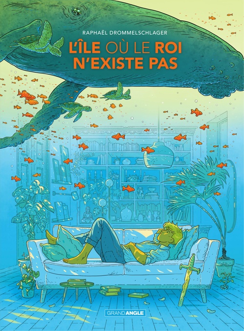 Couverture ebook de L'île où le roi n'existe pas, de Raphaël Drommelschlager
