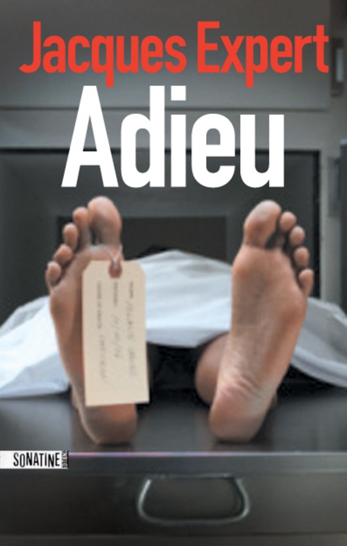 Couverture ebook de Adieu, de Jacques Expert