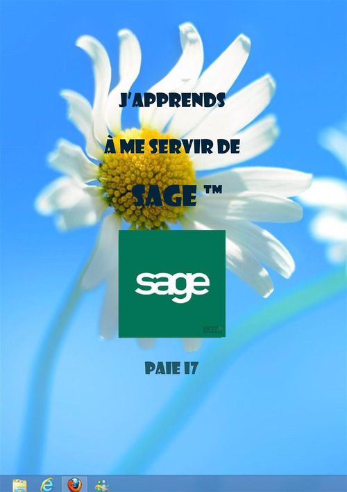 Couverture ebook de J'apprends à me servir de Sage Paie i7, de Joel Green