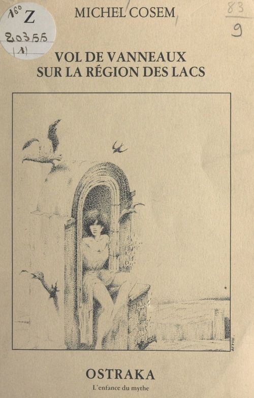 ebook cover of Vol de vanneaux sur la région des lacs, by Michel Cosem