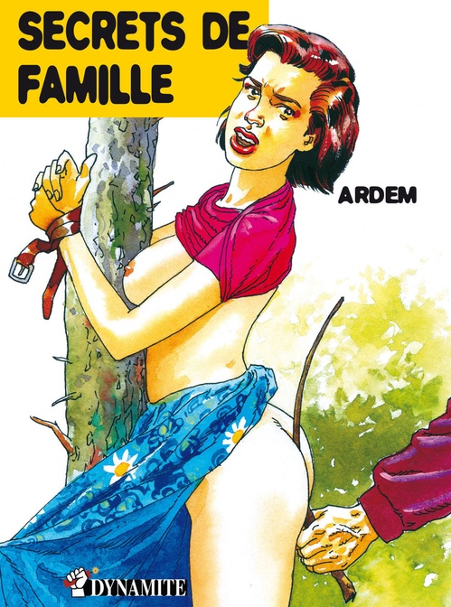 Couverture ebook de Secrets de famille, de Ardem