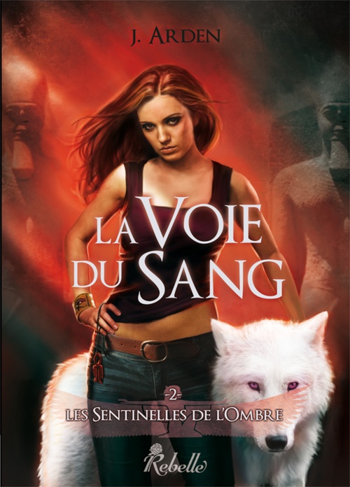 ebook cover of Les sentinelles de l'ombre 2, by J. Arden