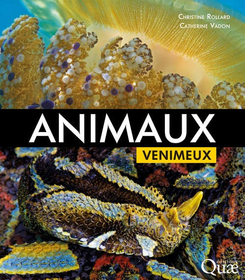 ebook cover of Animaux venimeux, by Christine Rollard, Catherine Vadon