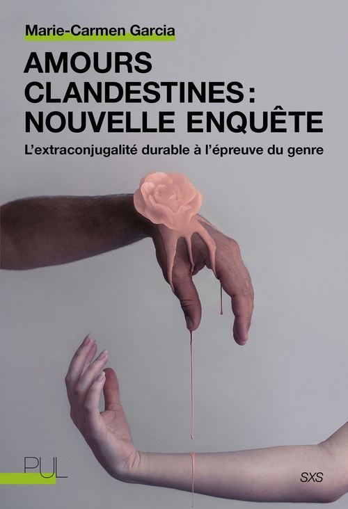 ebook cover of Amours clandestines : nouvelle enquête, by Marie-carmen Garcia