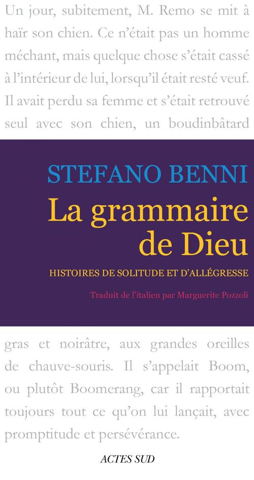 Couverture ebook de La Grammaire de Dieu, de Stefano Benni
