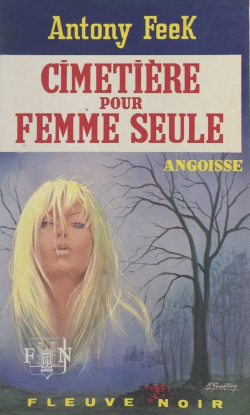 ebook cover of Cimetière pour femme seule, by Anthony Feek